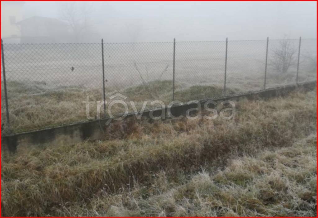 immagine annuncio 4 di 12