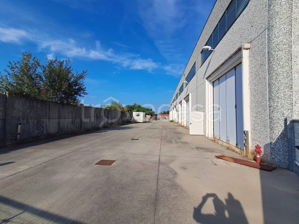 immagine annuncio 11 di 15