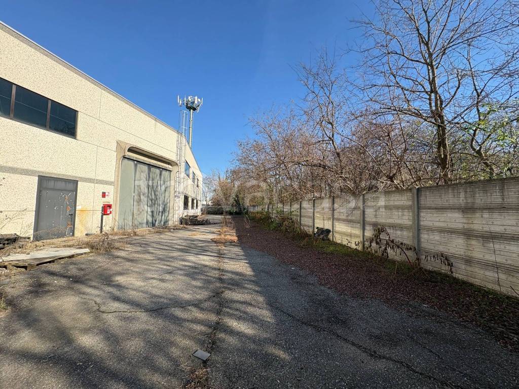 immagine annuncio 2 di 15