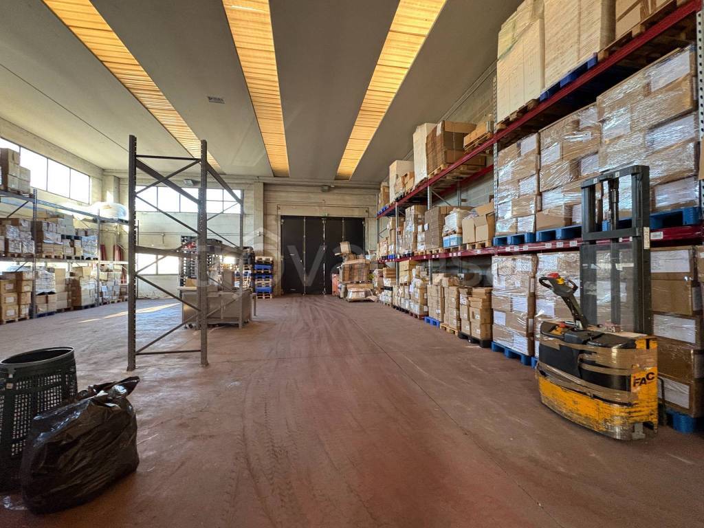 immagine annuncio 8 di 15