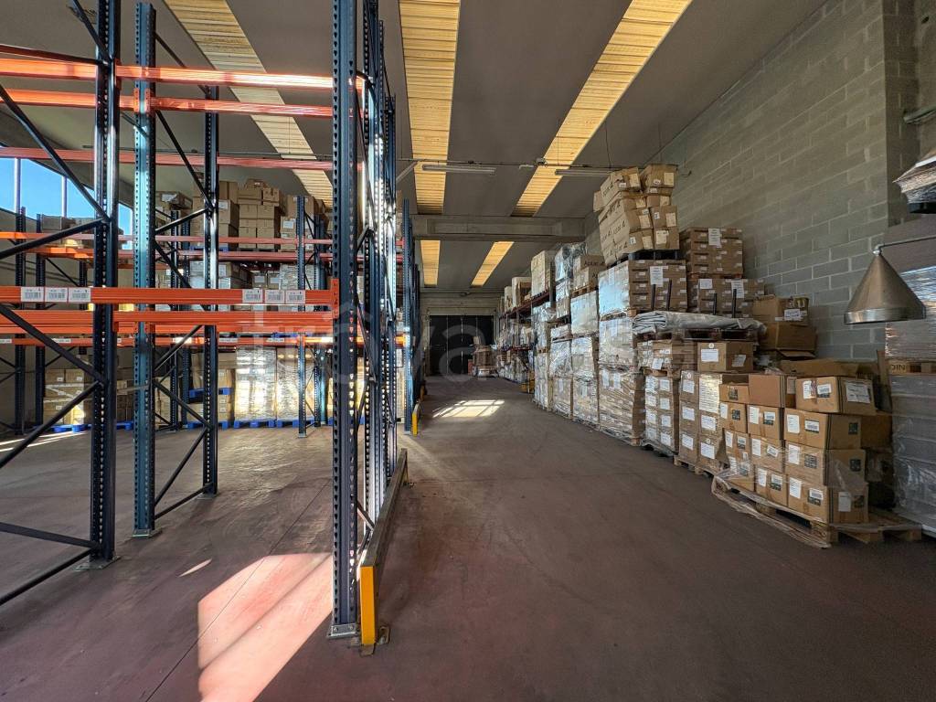 immagine annuncio 9 di 15