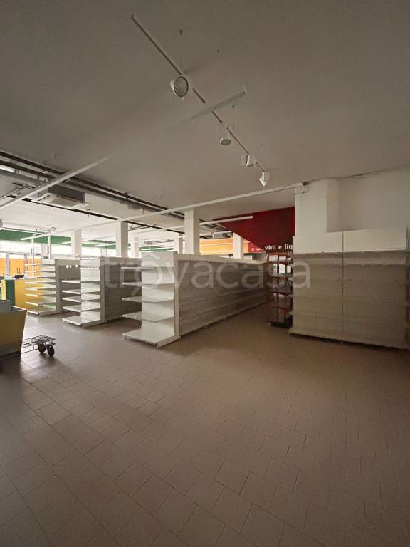 immagine annuncio 5 di 14