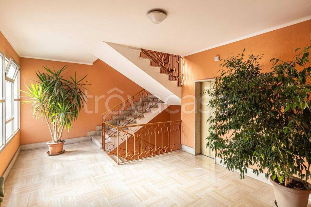 immagine annuncio 12 di 14