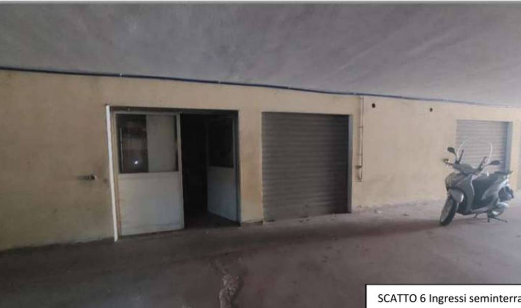 immagine annuncio 3 di 12