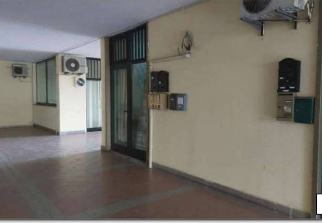 immagine annuncio 5 di 12