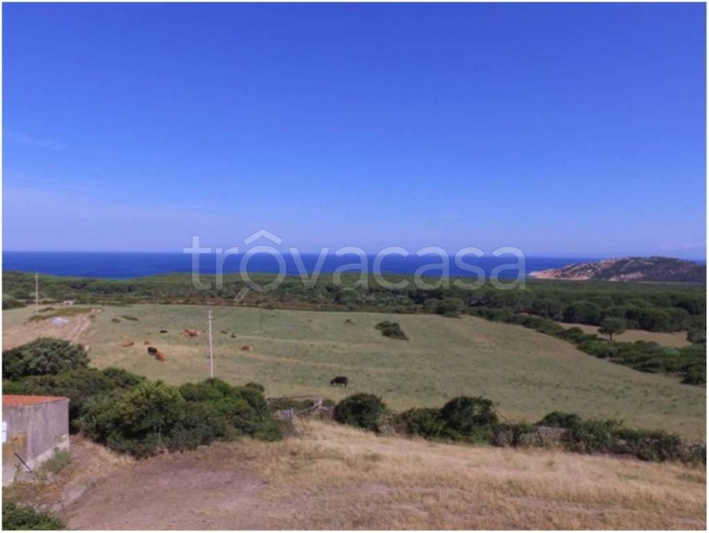 immagine annuncio 5 di 8