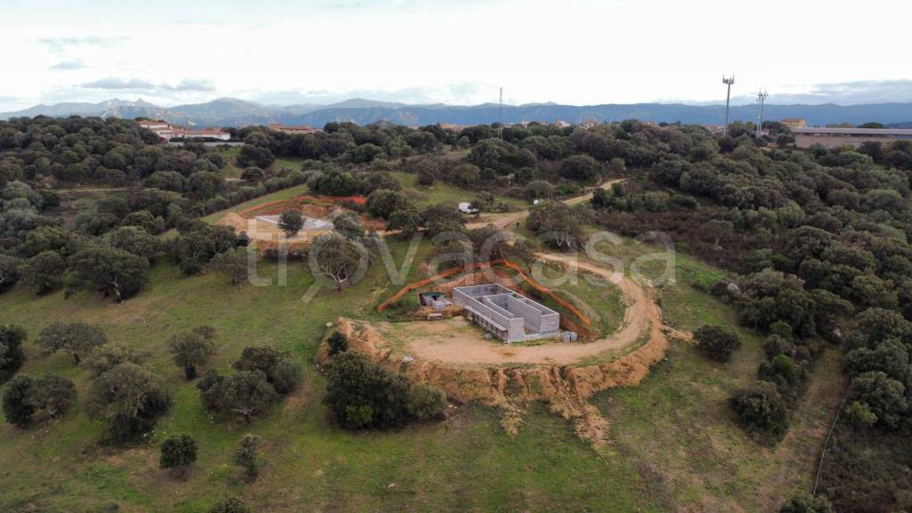 immagine annuncio 12 di 14