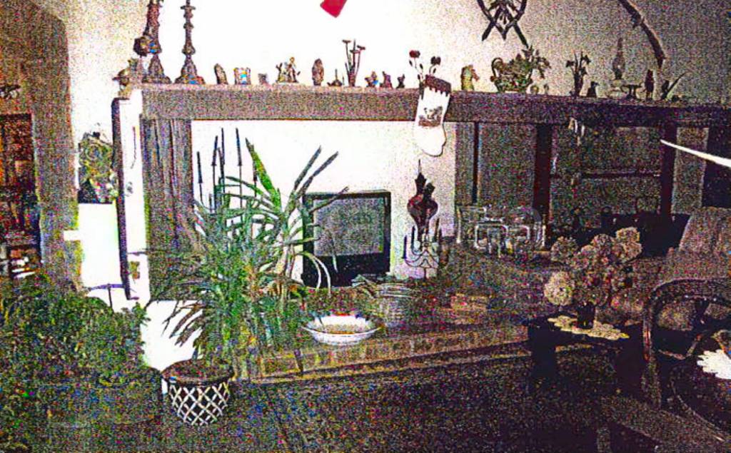 immagine annuncio 11 di 14