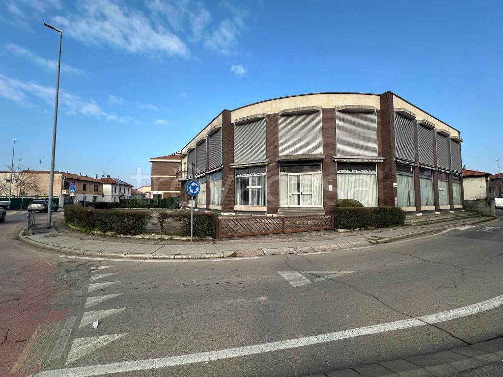 immagine annuncio 4 di 11