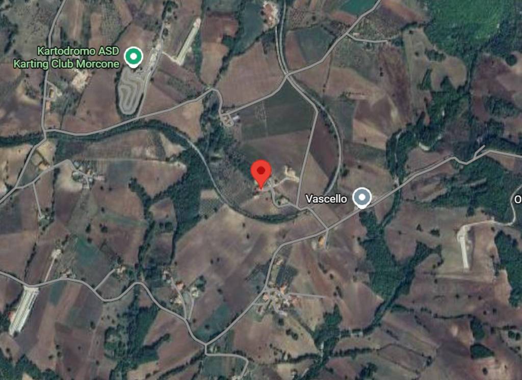 immagine annuncio 1 di 12