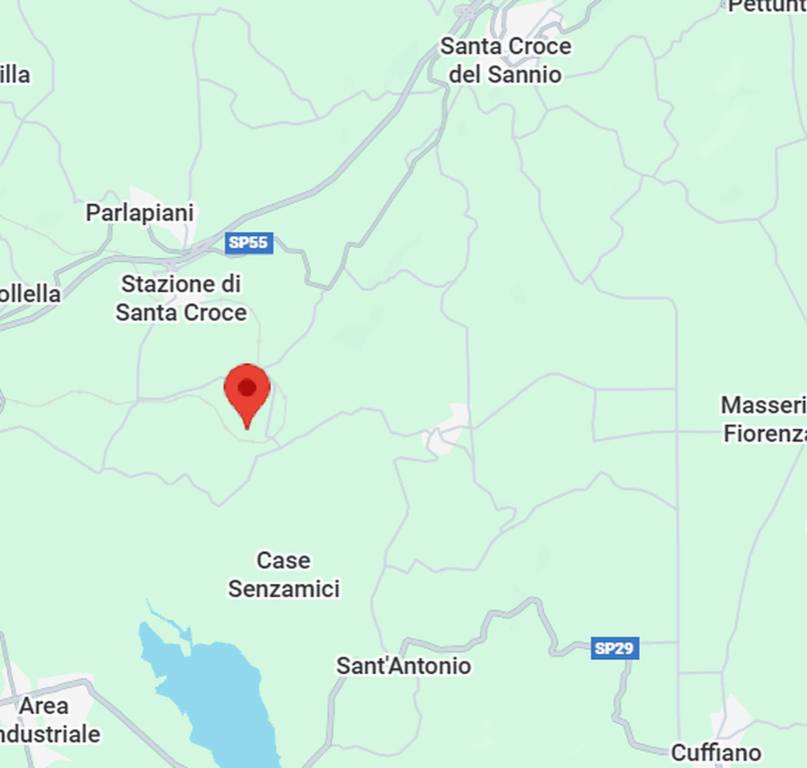 immagine annuncio 5 di 11