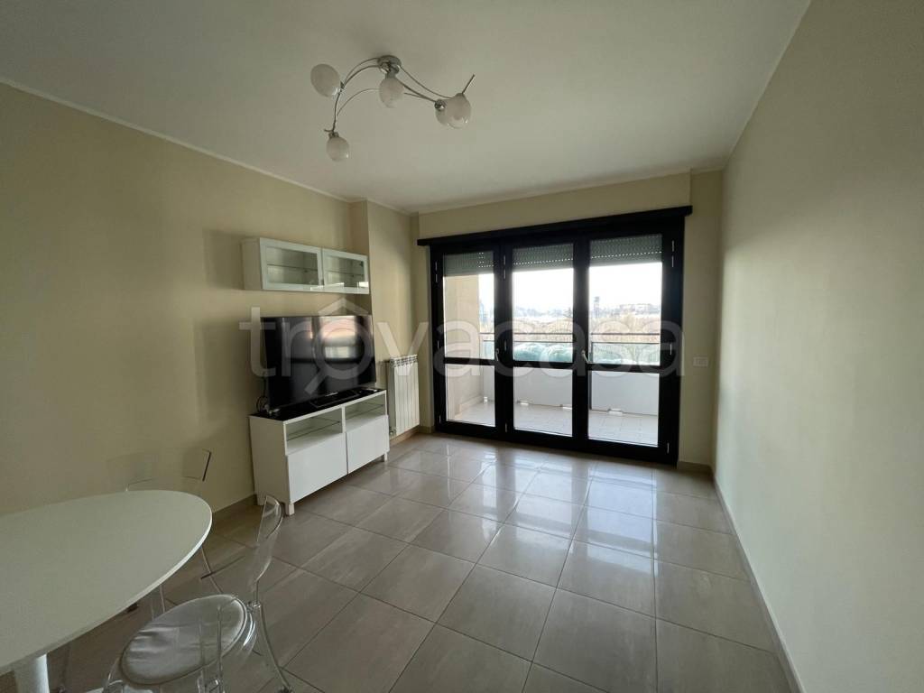 immagine annuncio 9 di 13