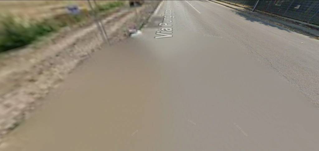 immagine annuncio 6 di 14