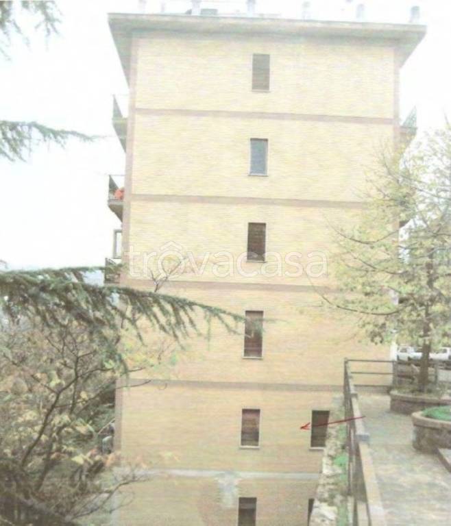 immagine annuncio 6 di 12