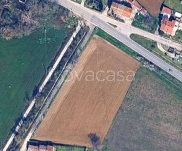 immagine annuncio 5 di 7