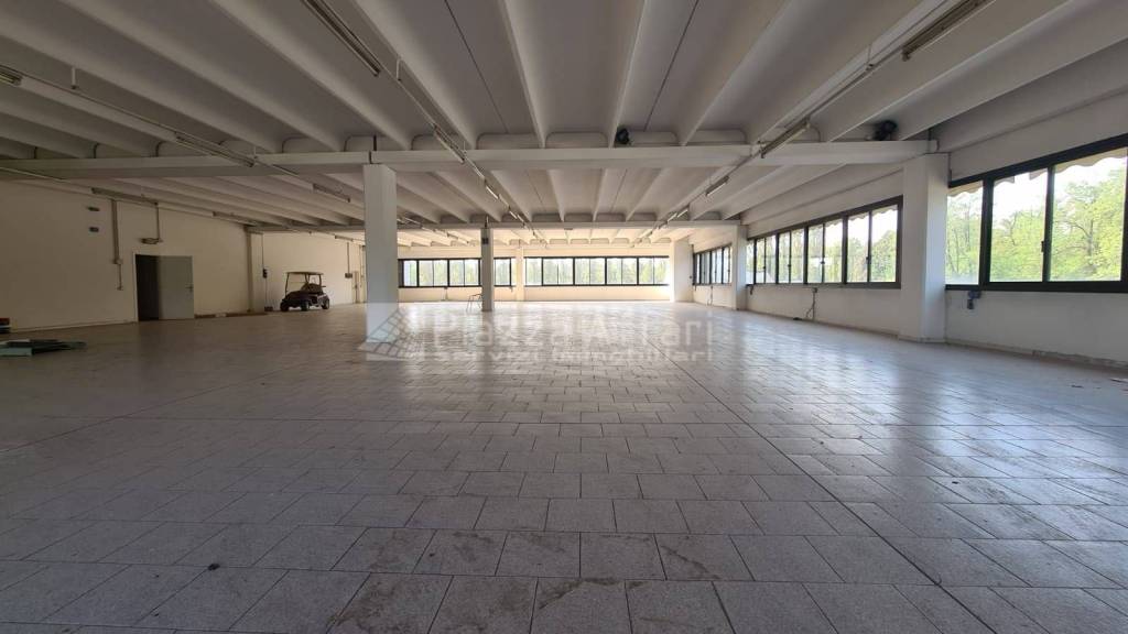 immagine annuncio 3 di 14