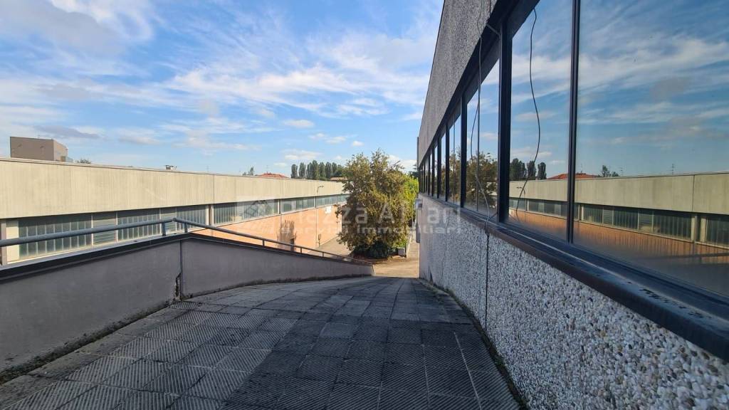 immagine annuncio 7 di 14