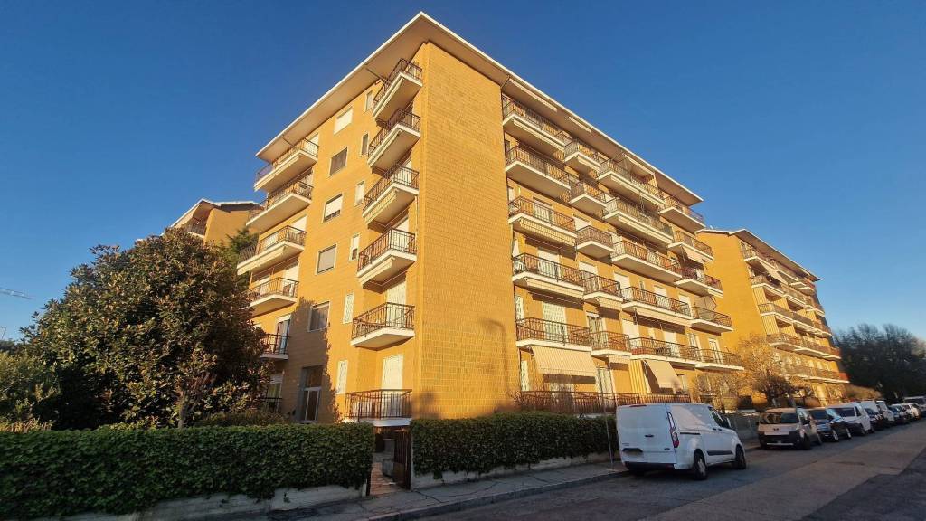 immagine annuncio 12 di 14