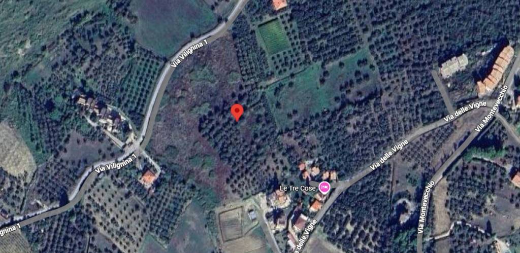 immagine annuncio 4 di 10