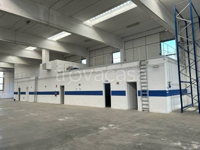 immagine annuncio 2 di 7