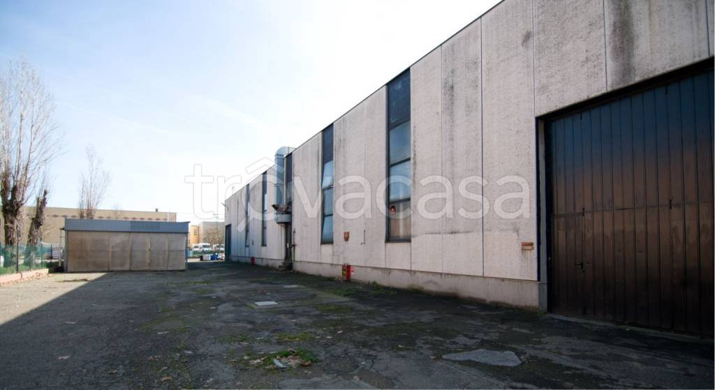 immagine annuncio 3 di 7