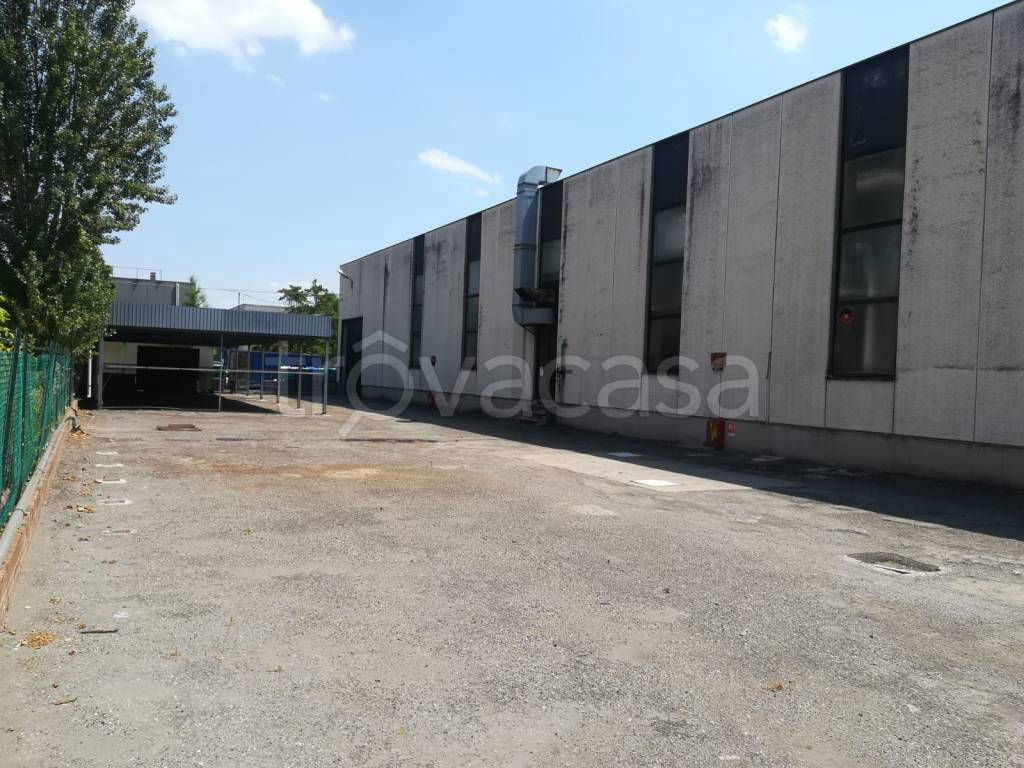 immagine annuncio 4 di 7