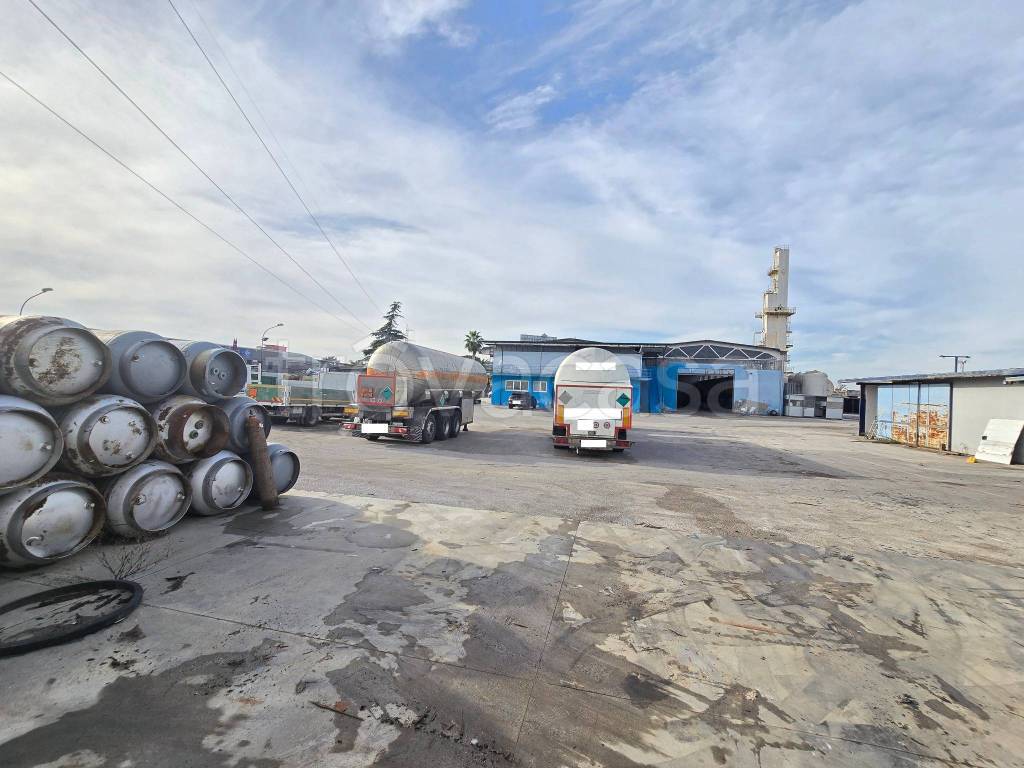 immagine annuncio 4 di 15