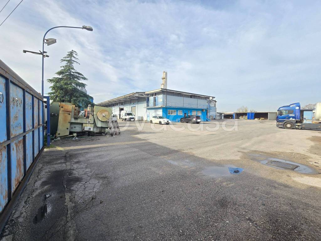 immagine annuncio 5 di 15