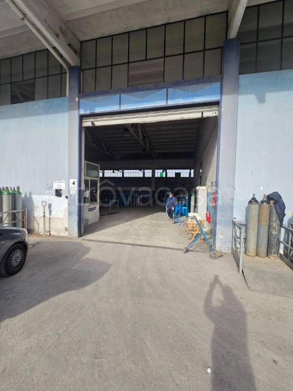 immagine annuncio 10 di 15