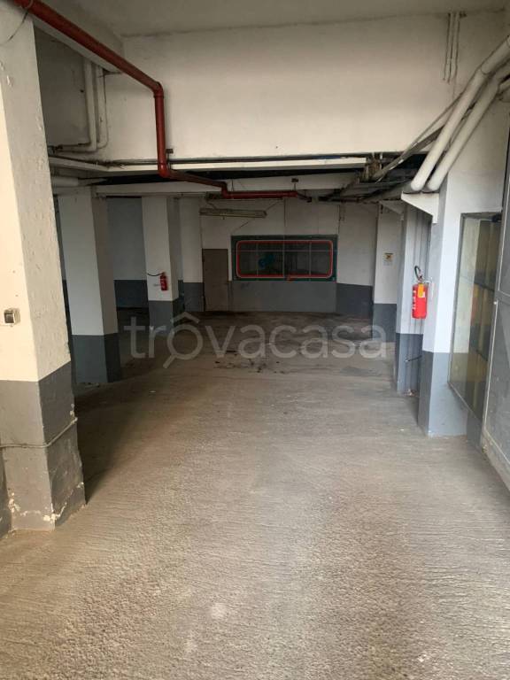 immagine annuncio 6 di 12