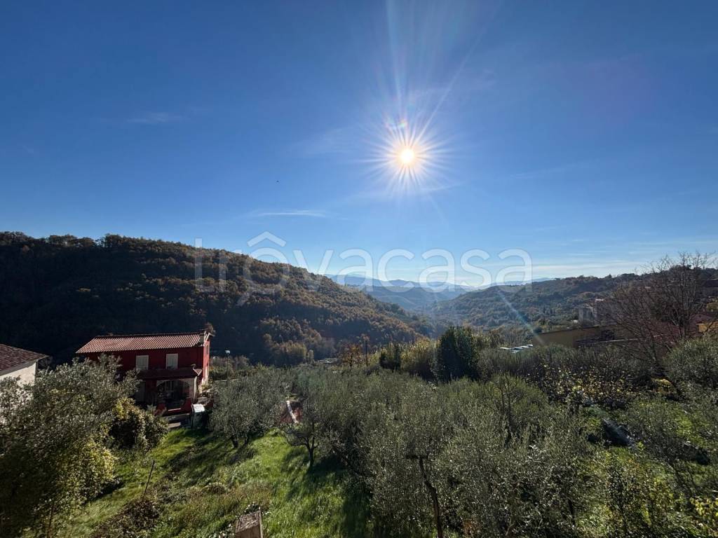 immagine annuncio 11 di 12