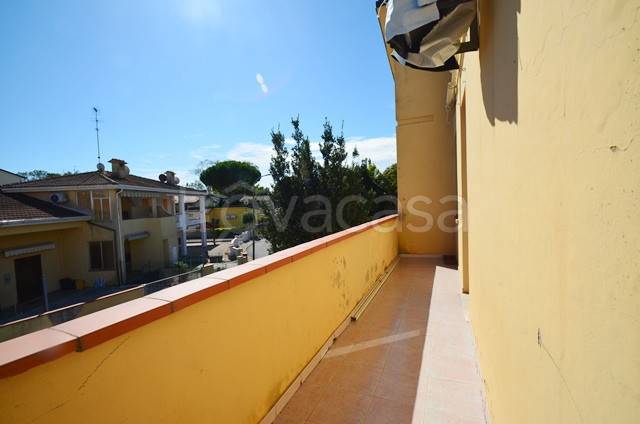 immagine annuncio 5 di 14