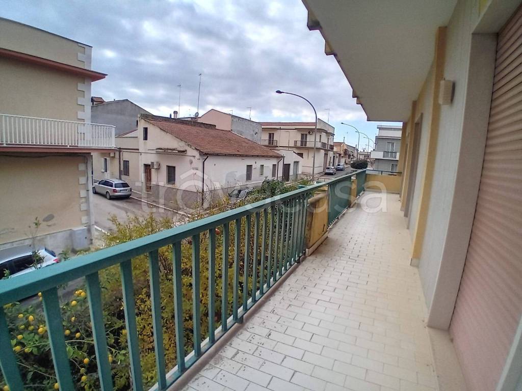 immagine annuncio 12 di 14