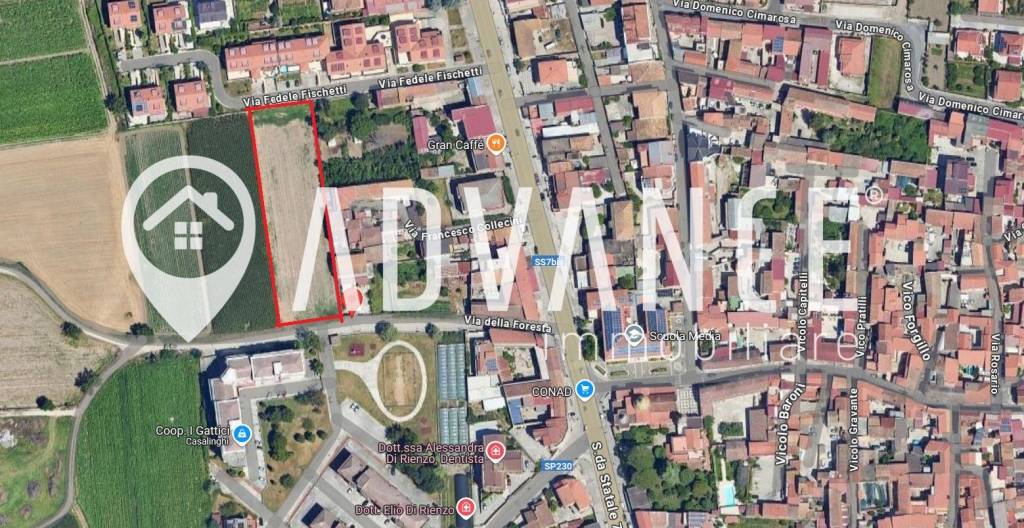 immagine annuncio 14 di 15