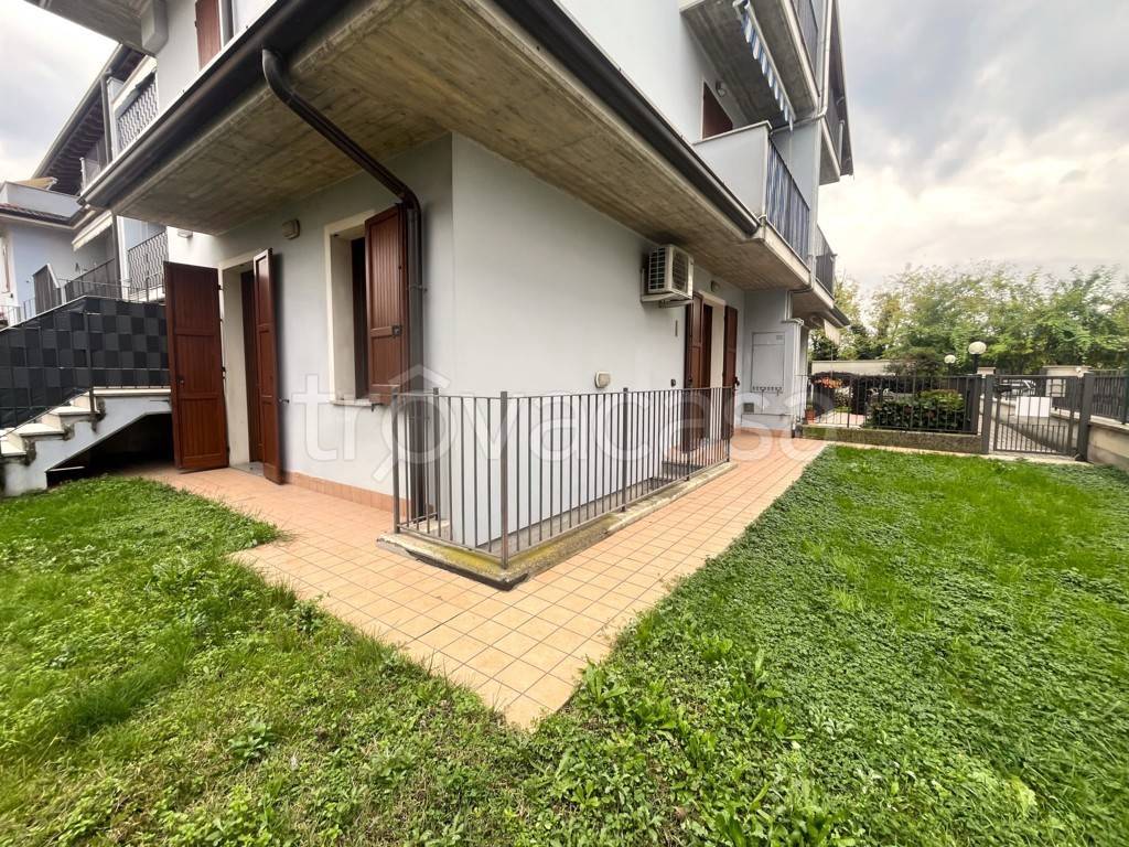 immagine annuncio 1 di 12