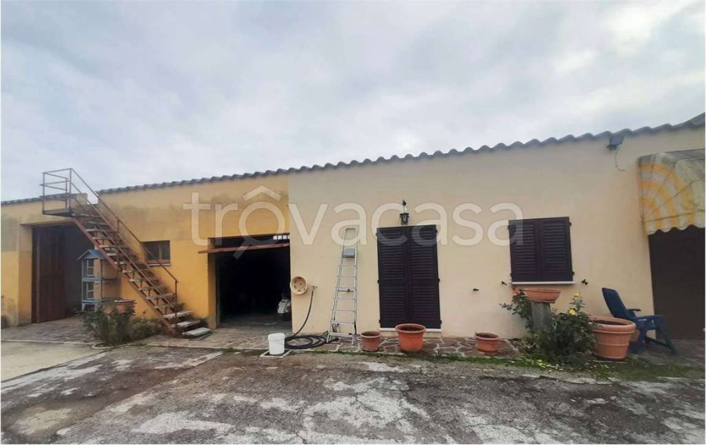 immagine annuncio 2 di 11