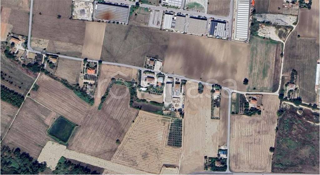 immagine annuncio 5 di 11