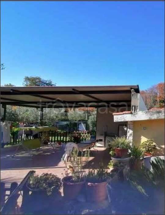 immagine annuncio 5 di 11