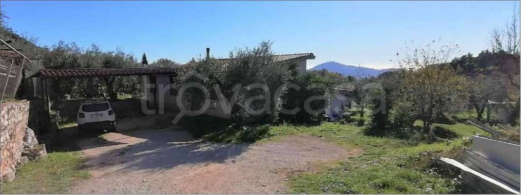 immagine annuncio 8 di 11