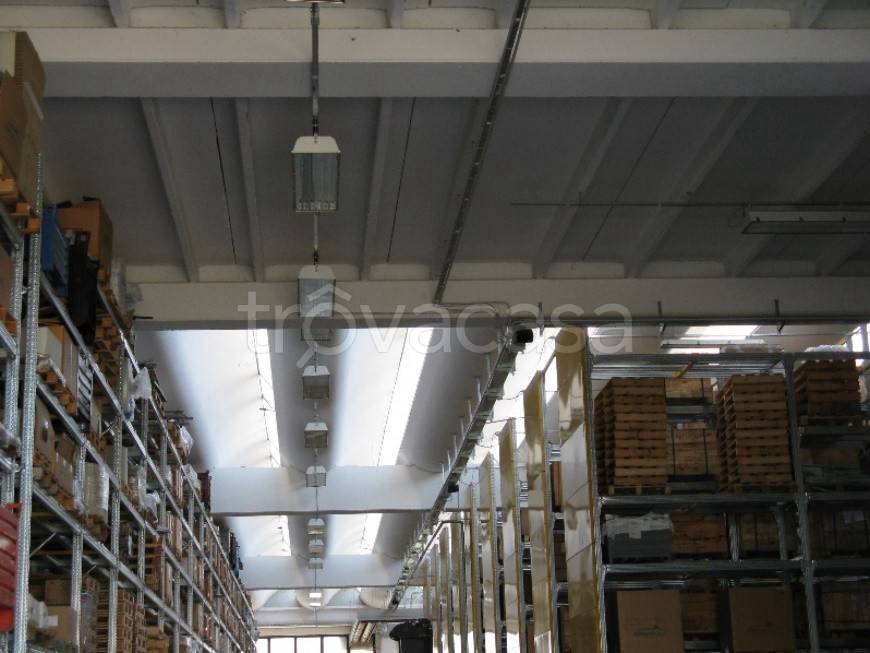 immagine annuncio 2 di 9