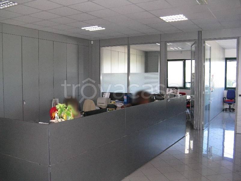 immagine annuncio 4 di 9