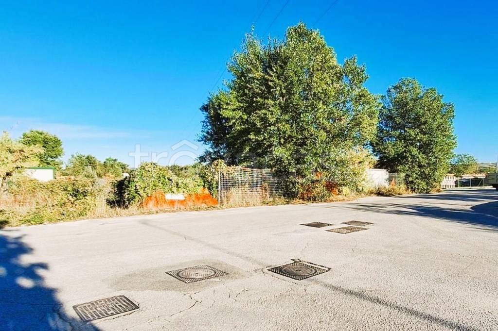 immagine annuncio 3 di 9