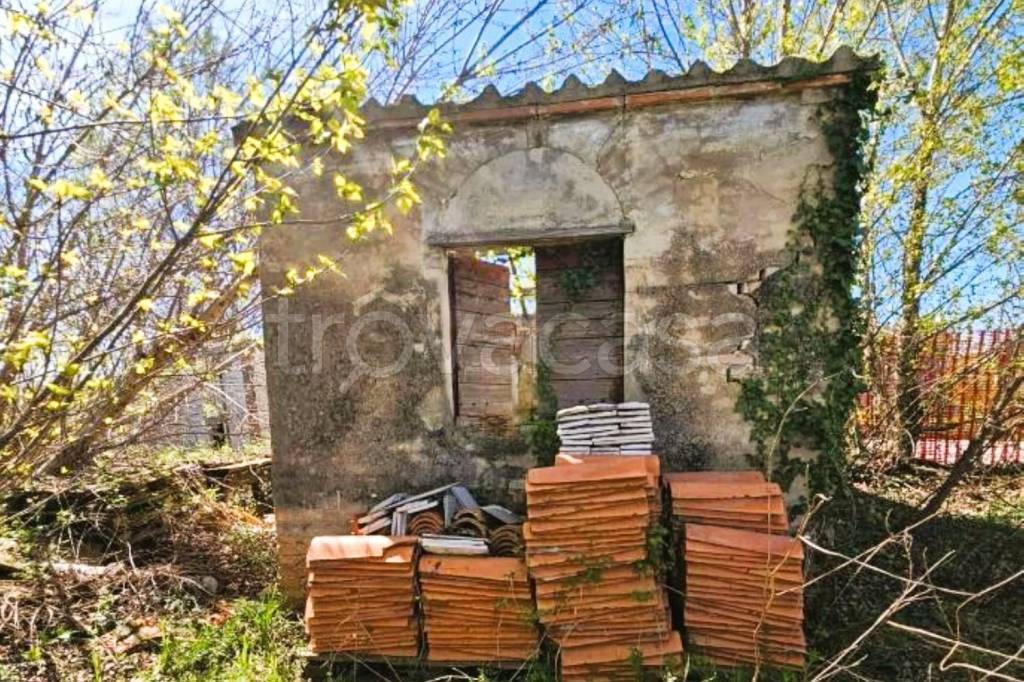 immagine annuncio 4 di 9