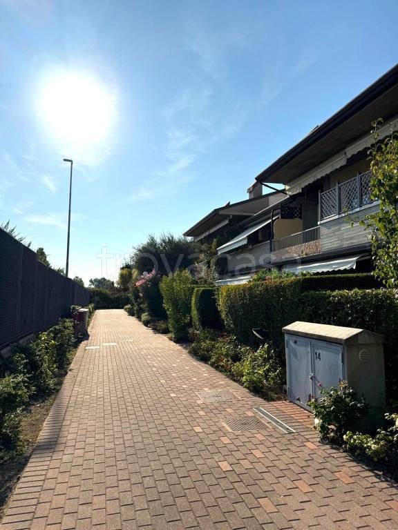 immagine annuncio 3 di 15