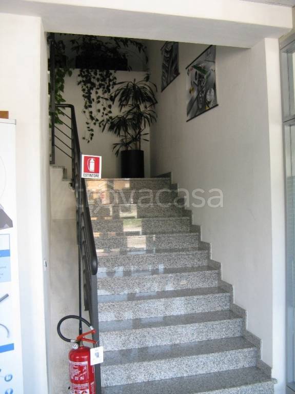 immagine annuncio 7 di 9