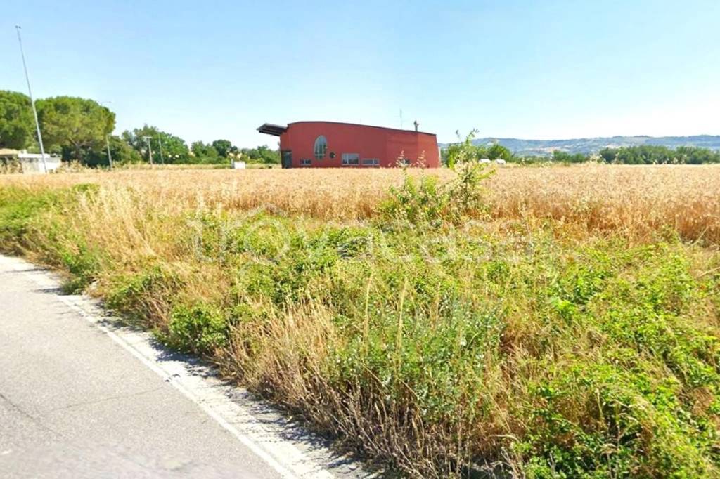 immagine annuncio 4 di 9