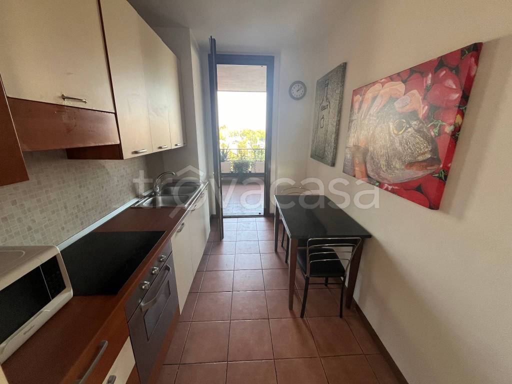 immagine annuncio 2 di 15