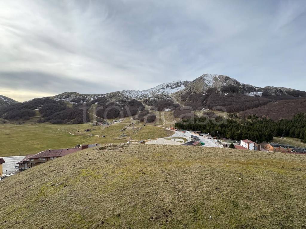 immagine annuncio 10 di 13