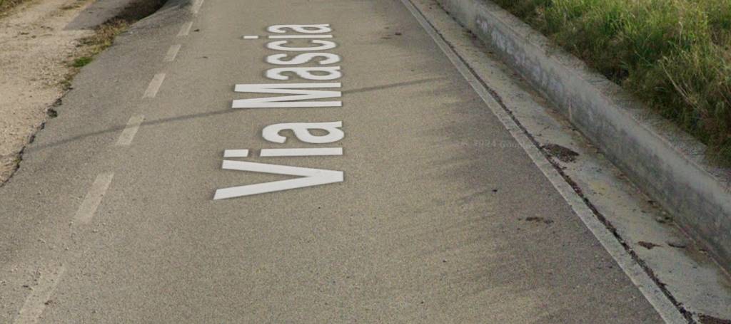 immagine annuncio 3 di 12