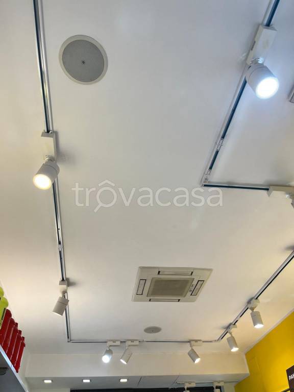 immagine annuncio 4 di 6